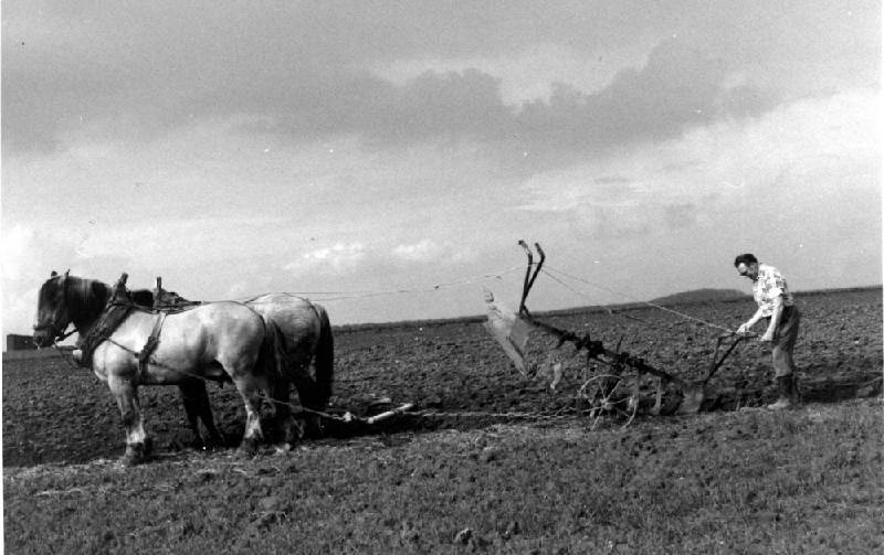 50er Jahre Bild Nr.212